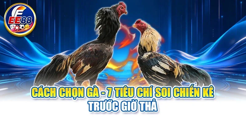 Cách chọn gà