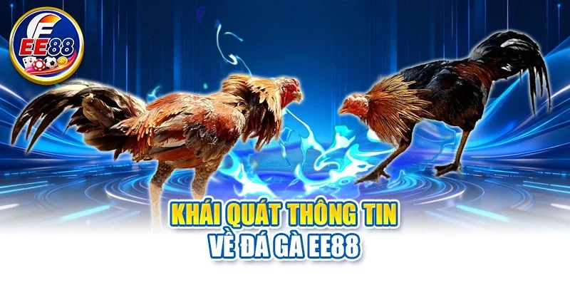 Khái quát thông tin về đá gà EE88