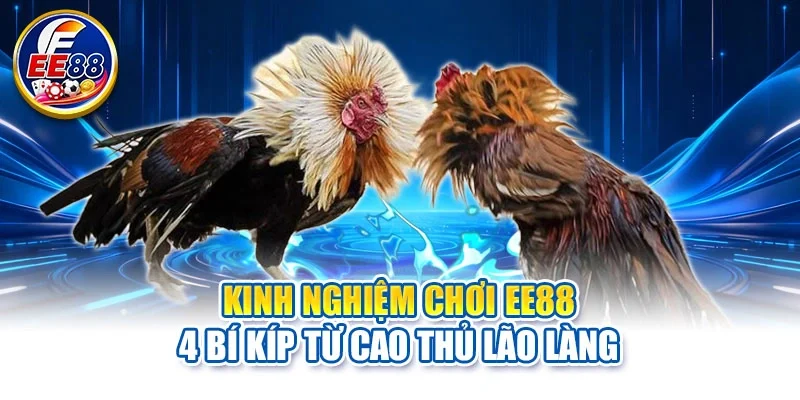 Kinh nghiệm chơi