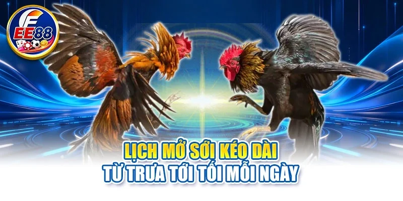 Lịch mở sới kéo dài từ trưa tới tối mỗi ngày