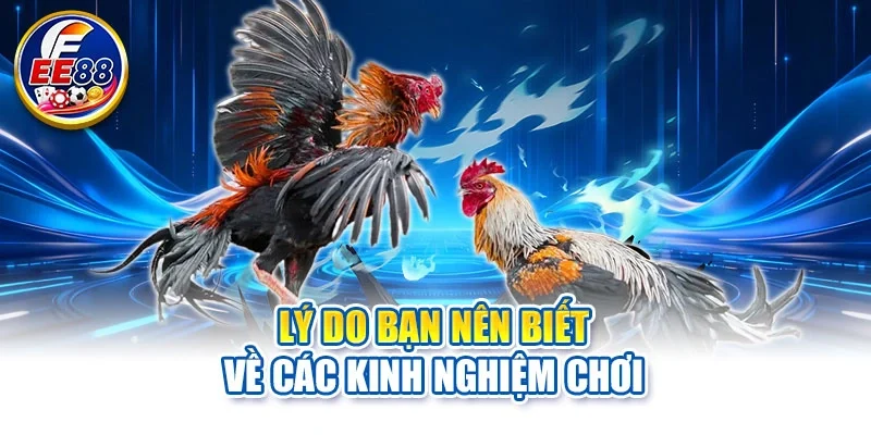 Lý do bạn nên biết về các kinh nghiệm chơi