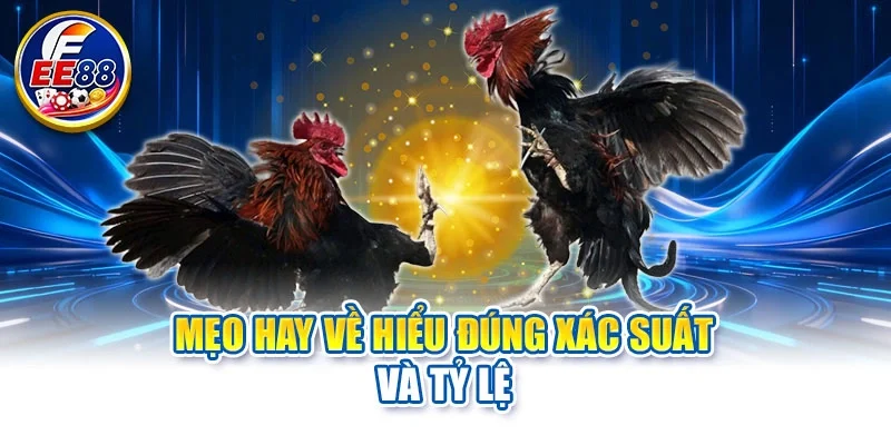 Mẹo hay về hiểu đúng xác suất và tỷ lệ