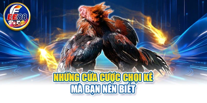 Những cửa cược chọi kê mà bạn nên biết