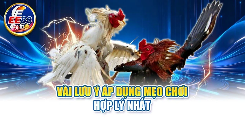 Vài lưu ý áp dụng mẹo chơi hợp lý nhất