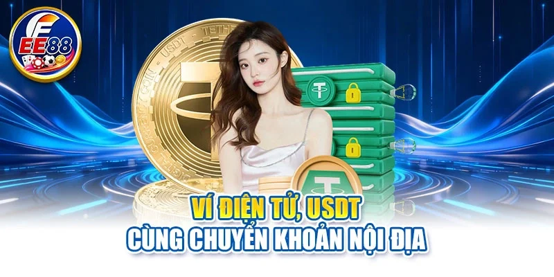 Ví điện tử, USDT cùng chuyển khoản nội địa